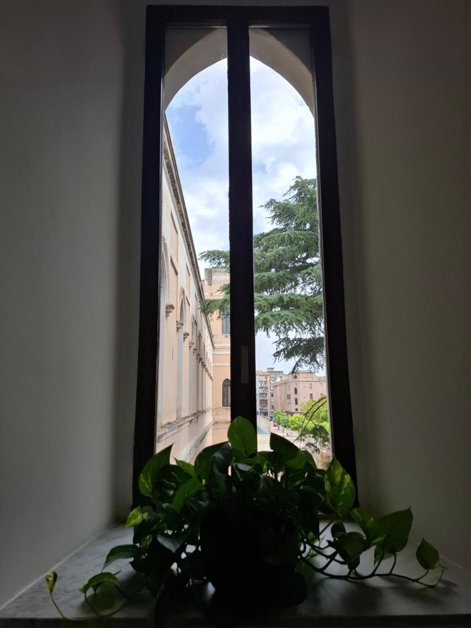 Bed and Breakfast Lupi E Agnelli Bari Zewnętrze zdjęcie
